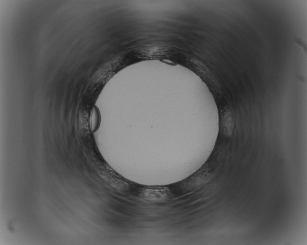 X0000100850571200807181059