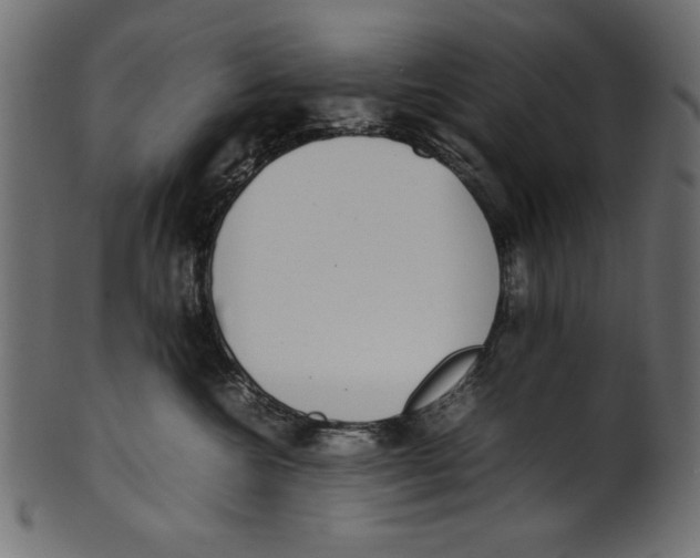 X0000100850572200807181059
