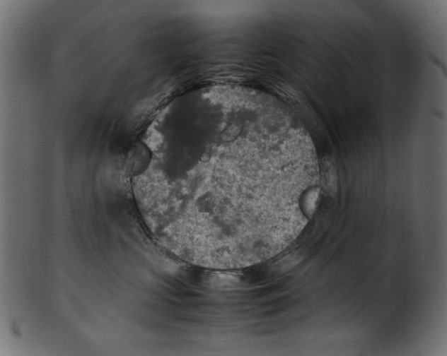 X0000100850573200807181059