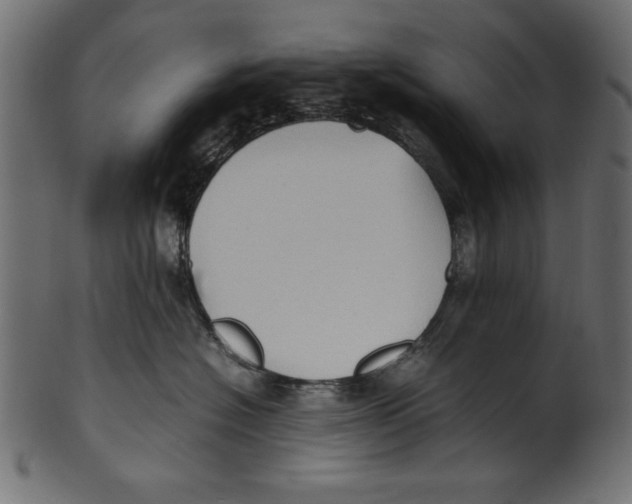 X0000100850574200807181059