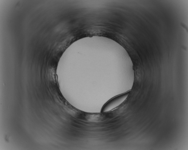 X0000100850575200807181059