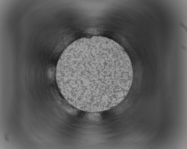 X0000100850576200807181059