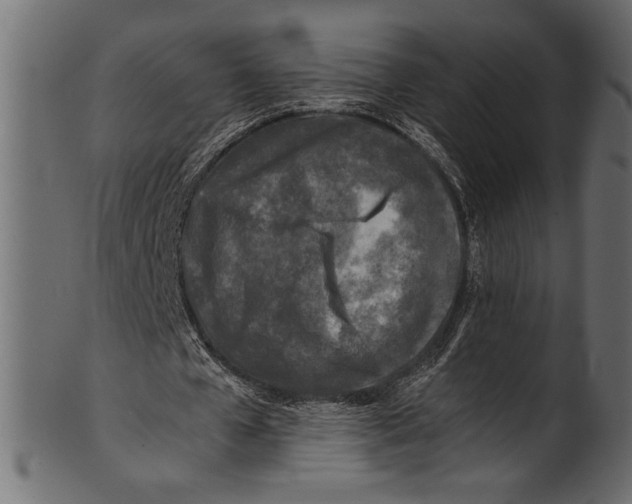 X0000100850577200807181058