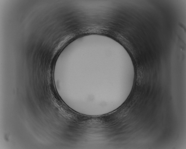 X0000100850578200807181058