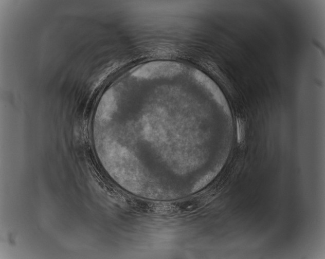 X0000100850579200807181058