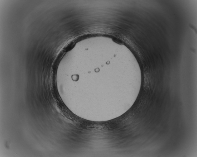 X0000100850580200807181058