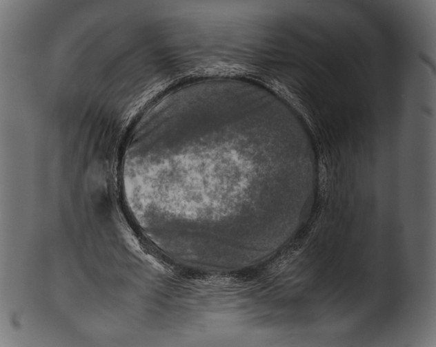 X0000100850581200807181058