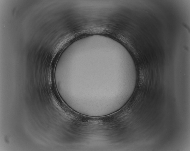 X0000100850582200807181058