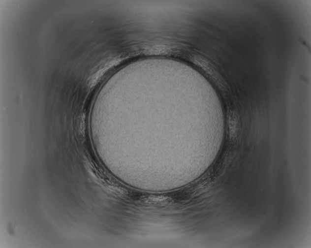 X0000100850583200807181058