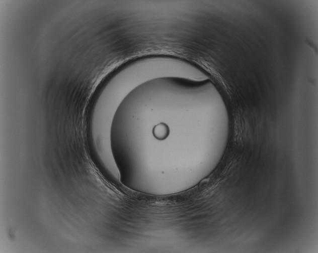 X0000100850584200807181058