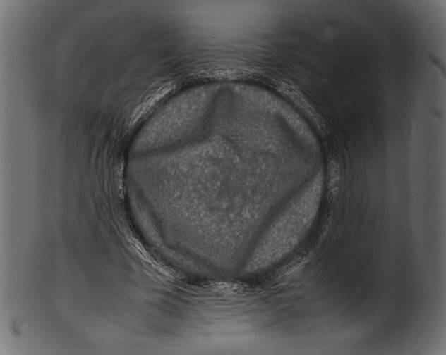 X0000100850585200807181058