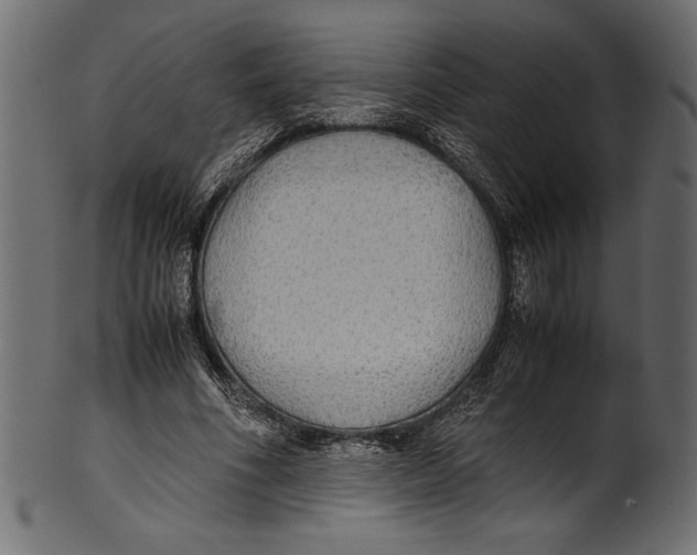 X0000100850586200807181058