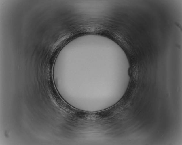 X0000100850587200807181058