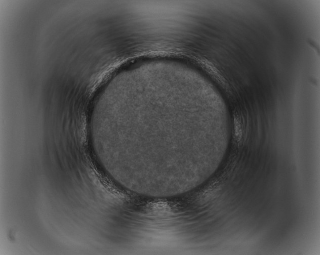 X0000100850588200807181058