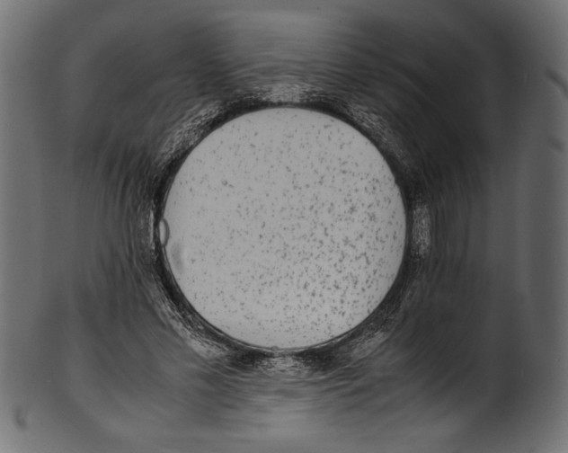 X0000100850589200807181058