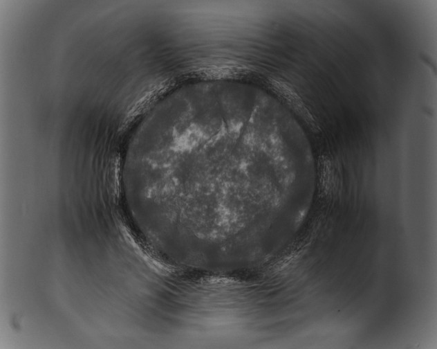 X0000100850590200807181058