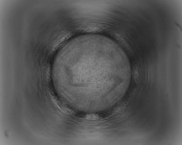 X0000100850591200807181058