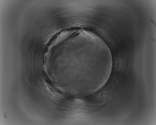 X0000100850592200807181058