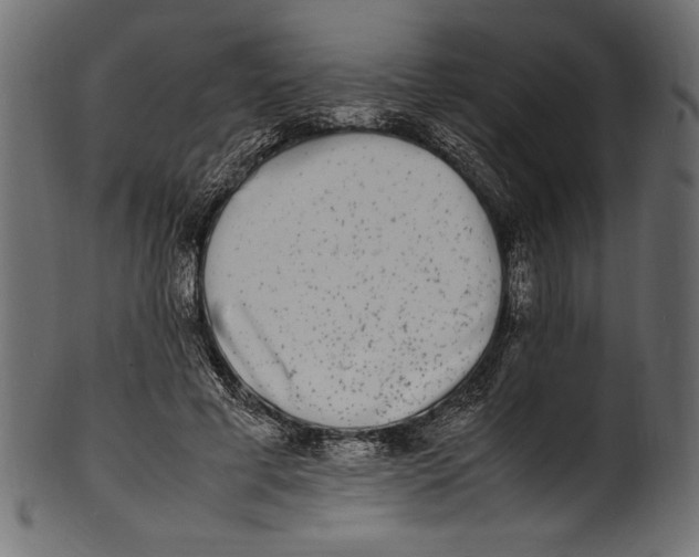 X0000100850593200807181058