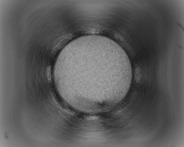 X0000100850594200807181058
