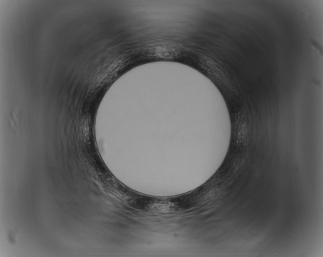 X0000100850595200807181058