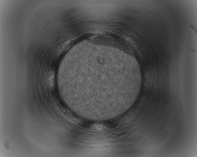 X0000100850596200807181058