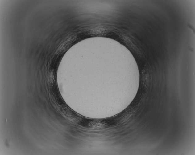 X0000100850597200807181058