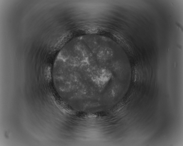 X0000100850598200807181058