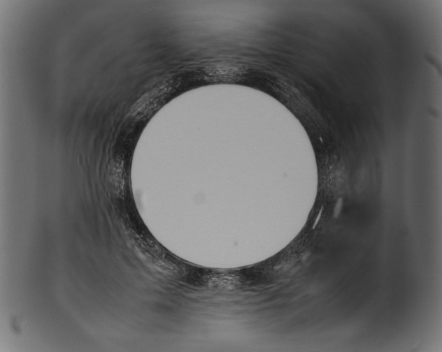 X0000100850599200807181058