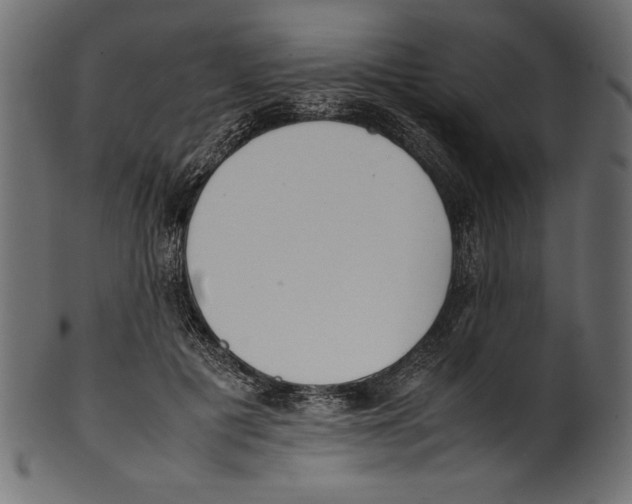 X0000100850601200807181058
