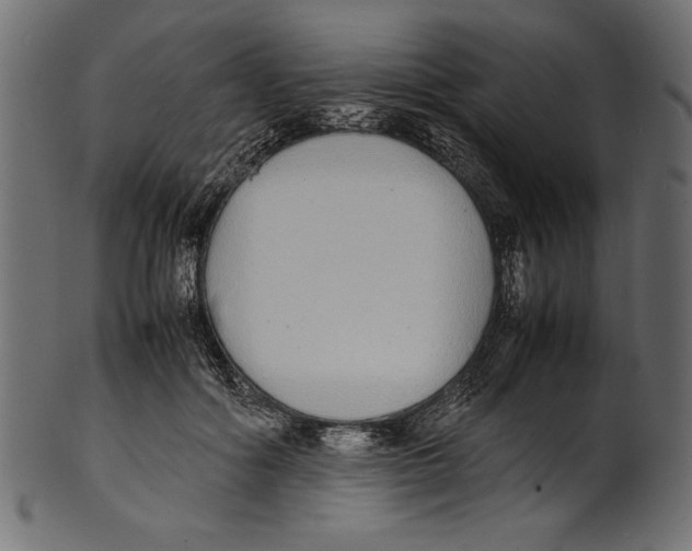 X0000100850602200807181058