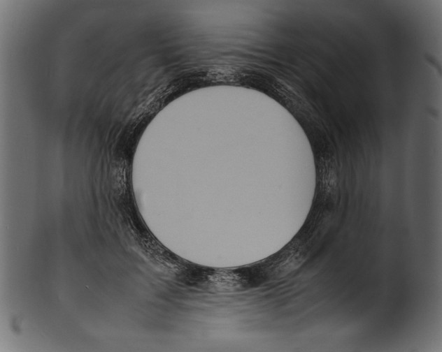 X0000100850603200807181058