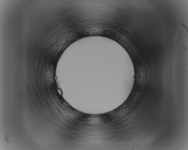 X0000100850604200807181058