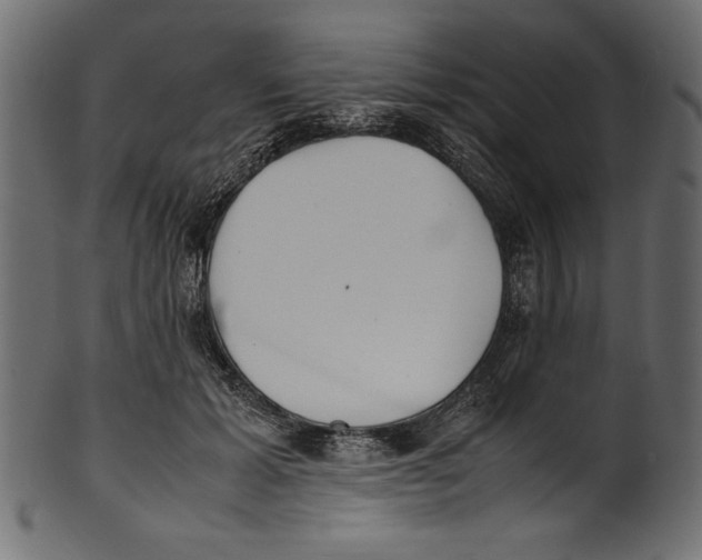 X0000100850605200807181058