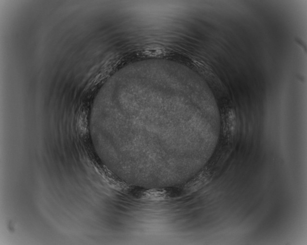 X0000100850606200807181058