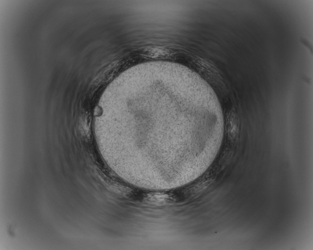 X0000100850607200807181058