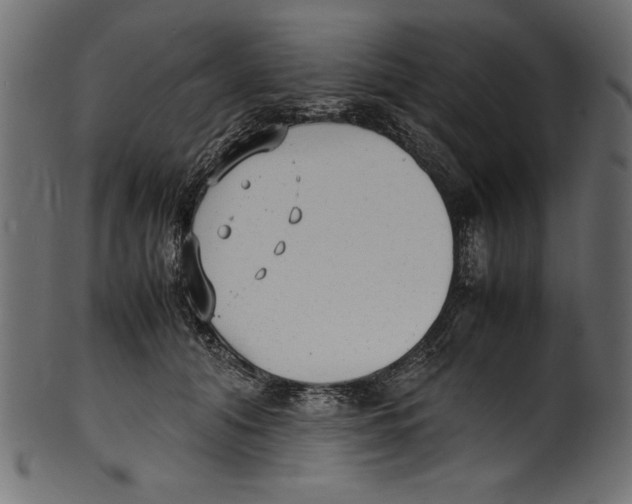 X0000100850608200807181058