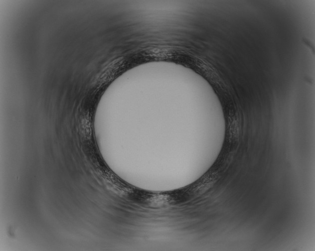 X0000100850609200807181058