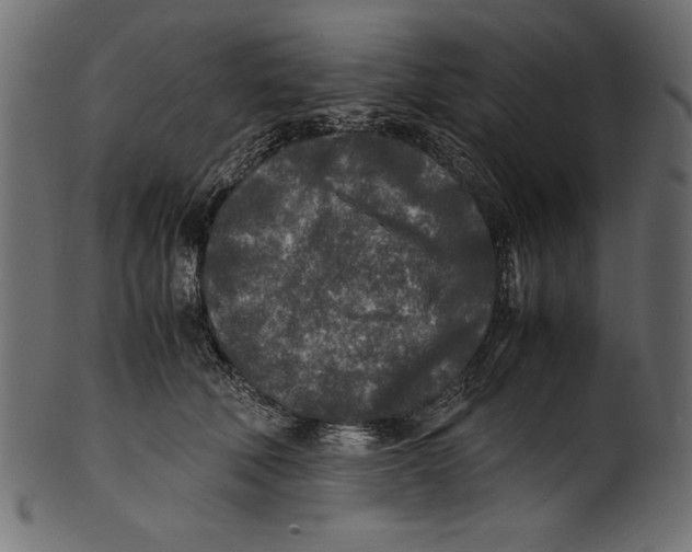 X0000100850610200807181058