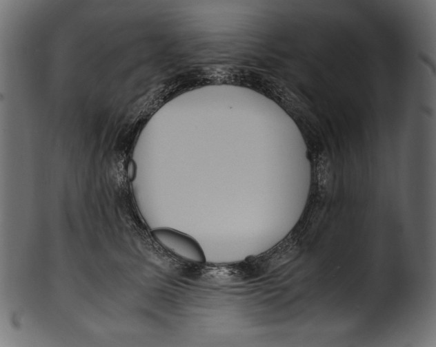 X0000100850611200807181058
