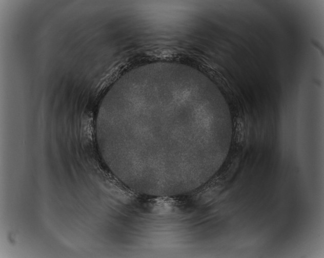 X0000100850612200807181058
