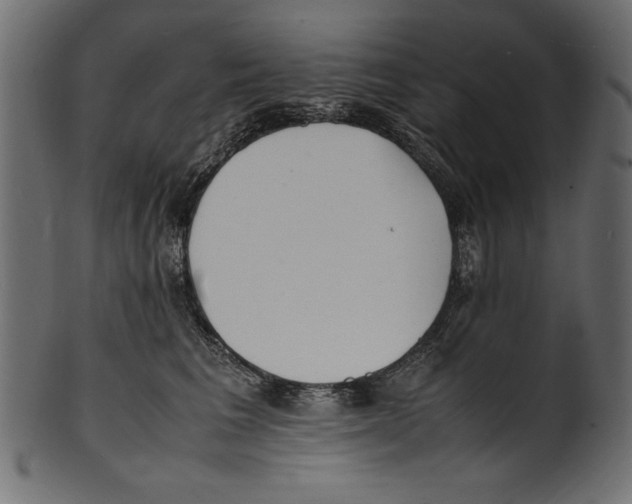 X0000100850613200807181058