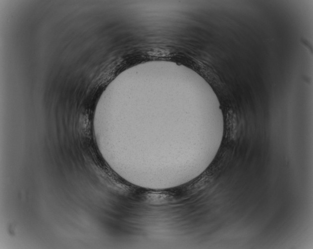 X0000100850614200807181058