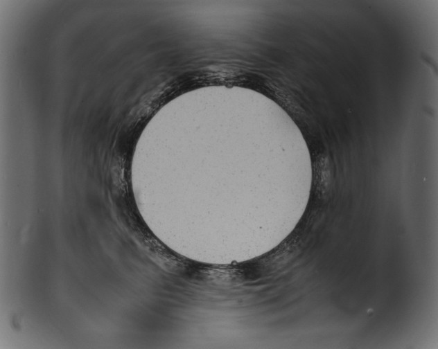 X0000100850615200807181058