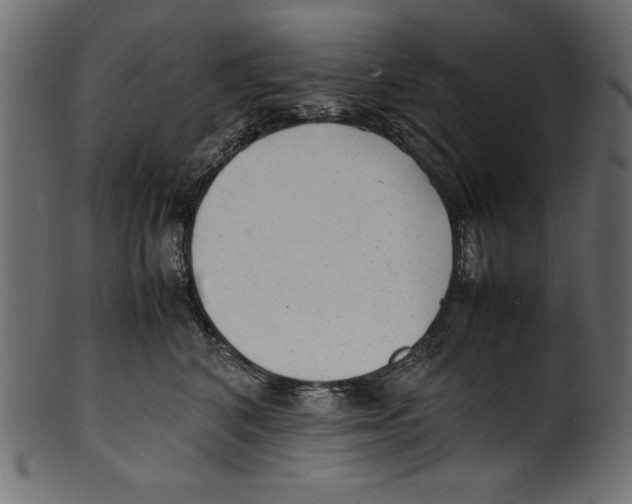 X0000100850616200807181058