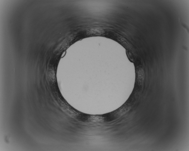 X0000100850617200807181058