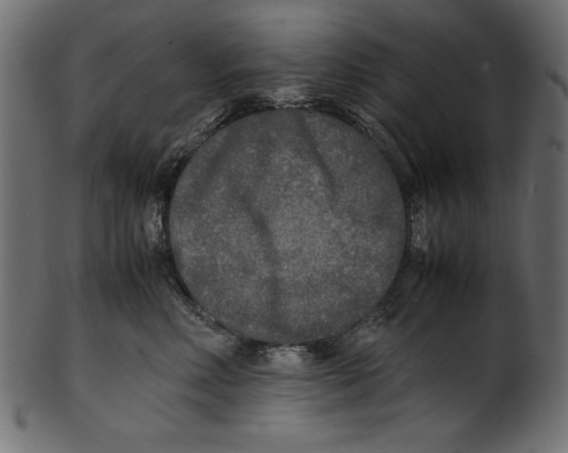 X0000100850618200807181058