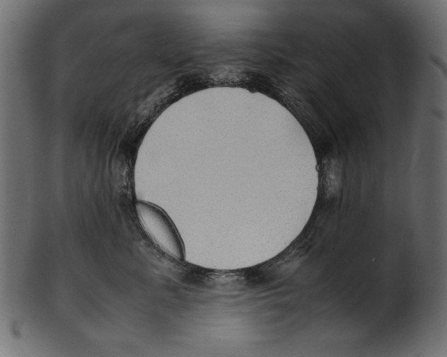 X0000100850619200807181058