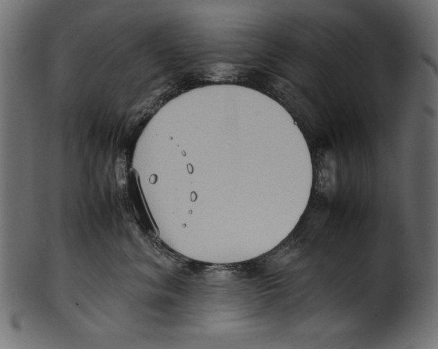 X0000100850620200807181058