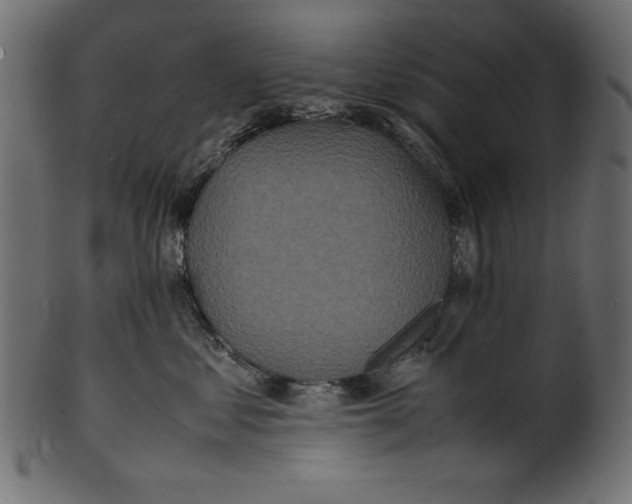 X0000100850621200807181058